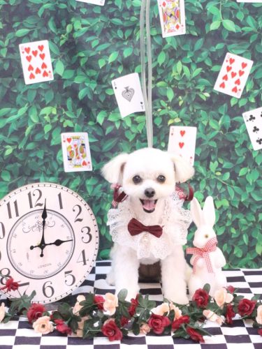 20250416小雪ちゃん